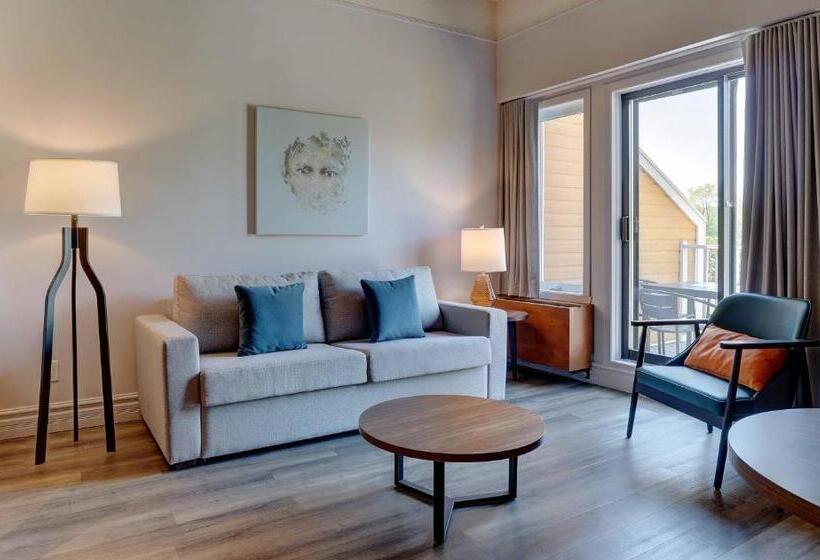 Стандартный Номер Кровать Кинг, Estrimont