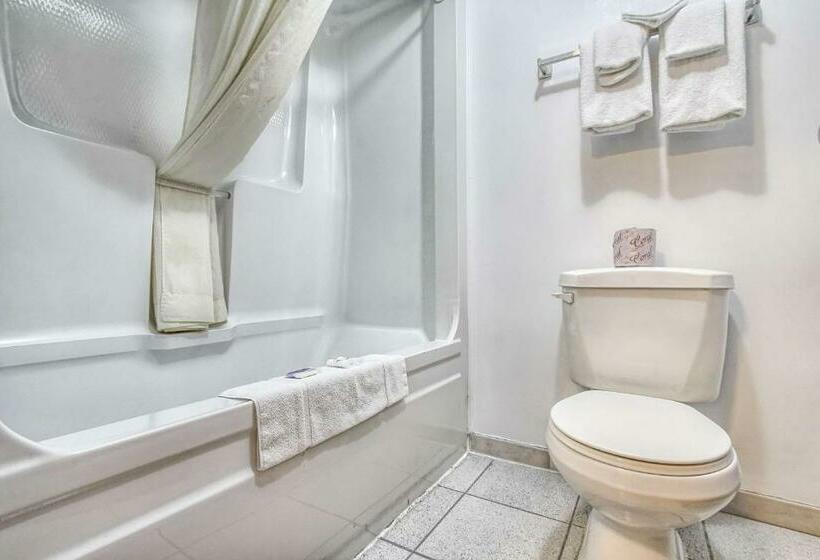 스탠다드 룸 킹사이즈 침대, Motel 6windsor, On