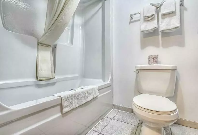اتاق استاندارد با تخت بزرگ, Motel 6windsor, On