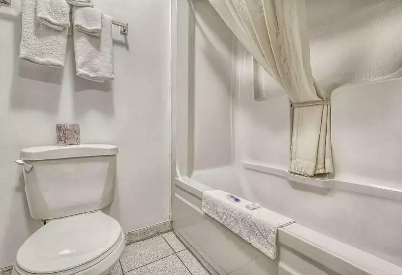 اتاق استاندارد با تخت بزرگ, Motel 6windsor, On