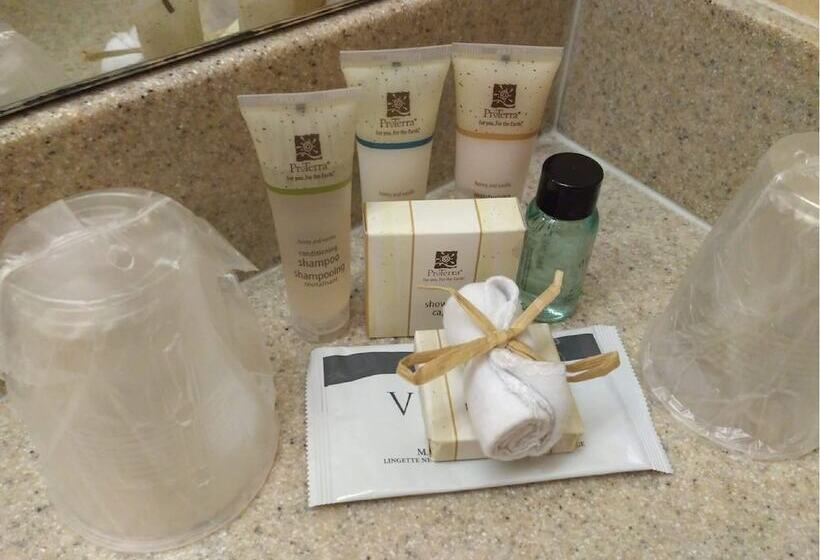 스위트, Canmore Inn & Suites