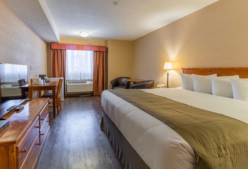 스위트, Canmore Inn & Suites