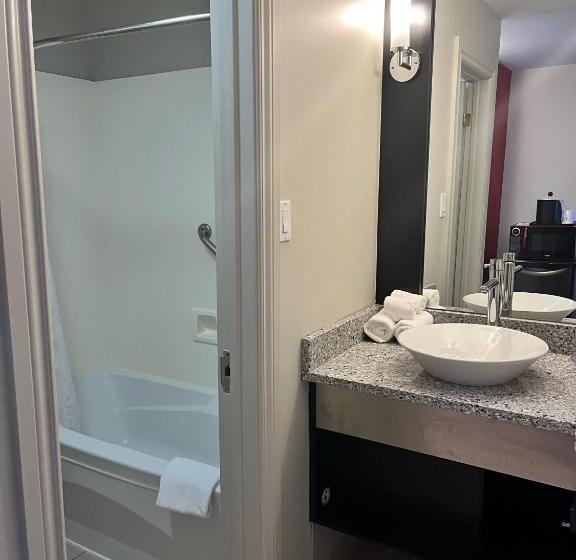 חדר סטנדרט, Ramada By Wyndham Ottawa On The Rideau