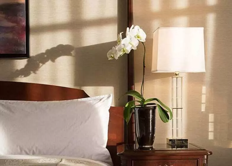 اتاق سوپریور, The Magnolia Hotel & Spa