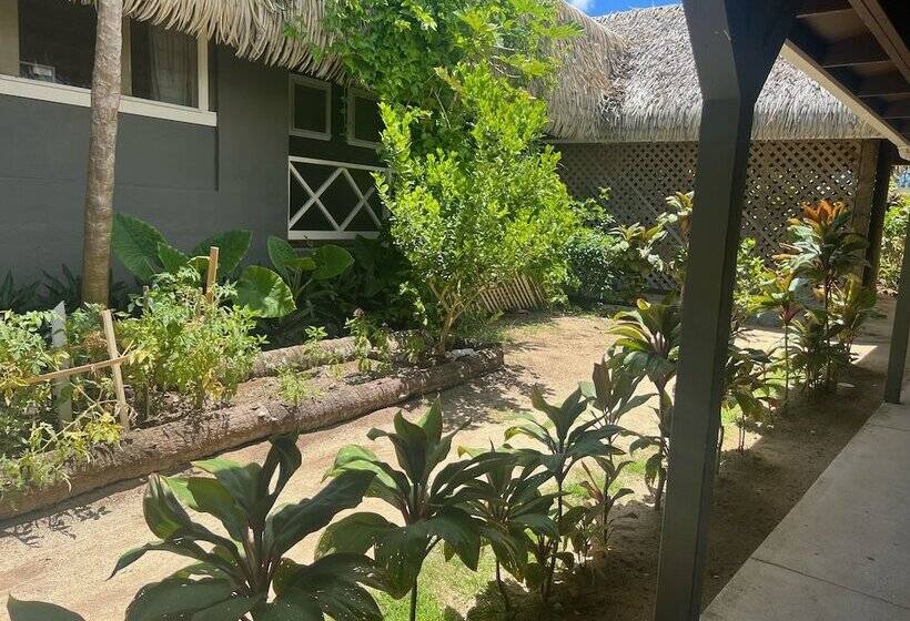 استودیوی استاندارد, Club Raro Resort Adults Only