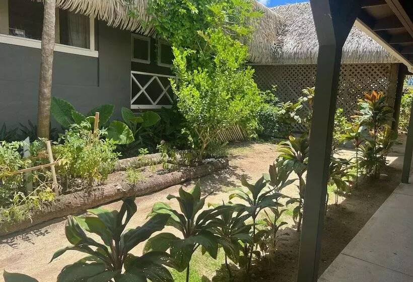 استودیوی استاندارد, Club Raro Resort  Adults Only