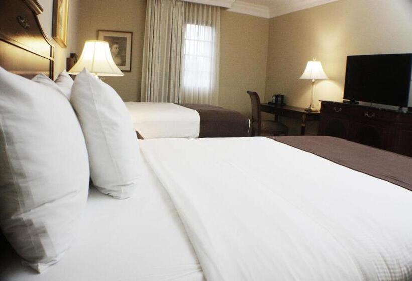 수피리어 룸, El Prado