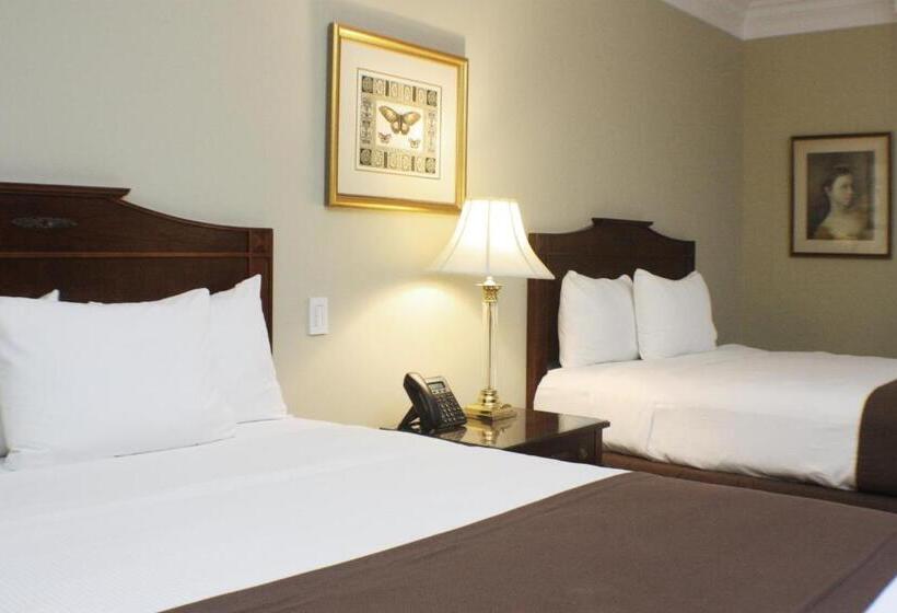 수피리어 룸, El Prado