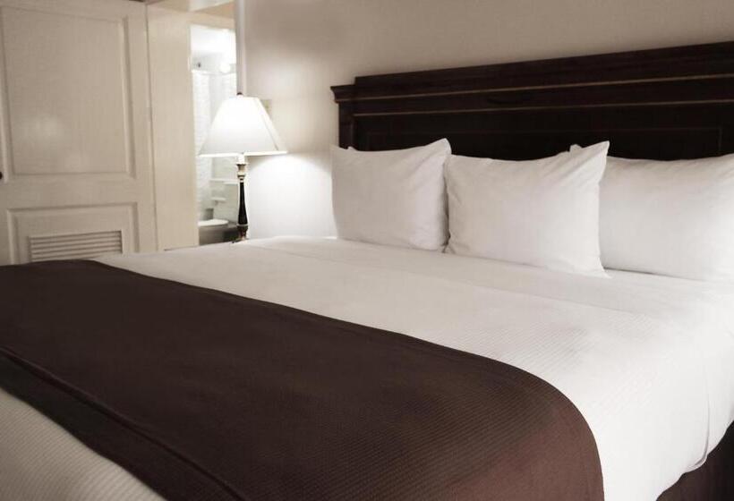 주니어 스위트, El Prado