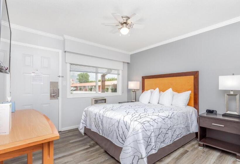 חדר סטנדרט, Westridge Motor Inn