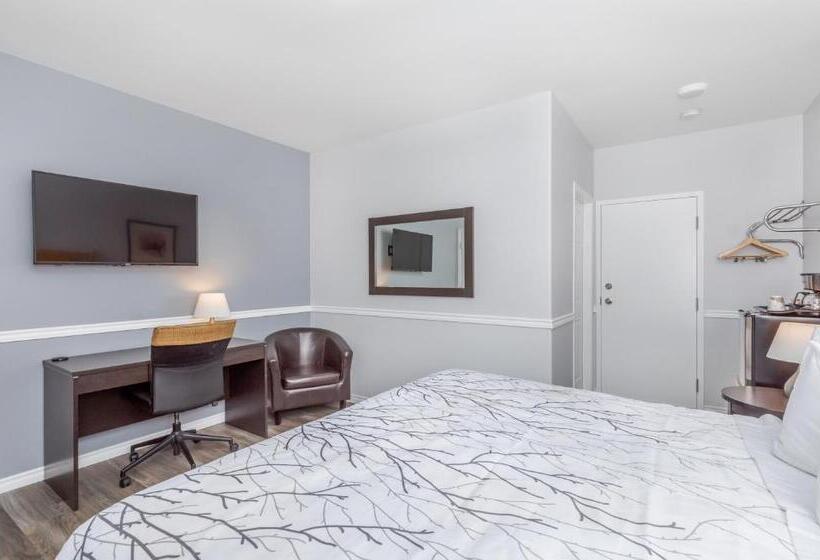 חדר סטנדרט עם מיטת קינג, Westridge Motor Inn