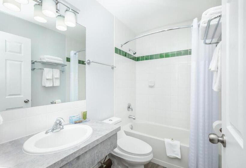 חדר סטנדרט עם מיטת קינג, Westridge Motor Inn