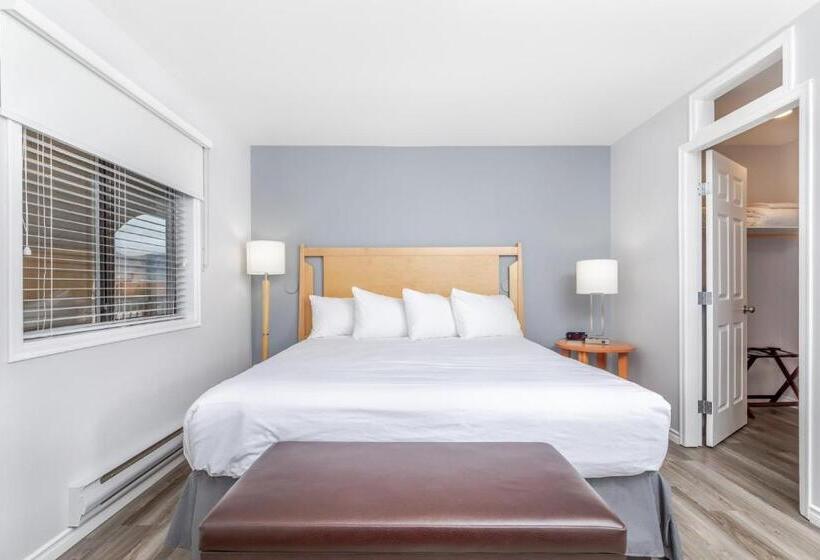 מיטת קינג בסוויטה, Westridge Motor Inn