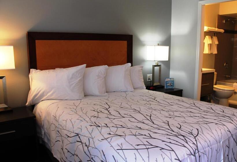 חדר סטנדרט עם מיטת קווין, Westridge Motor Inn