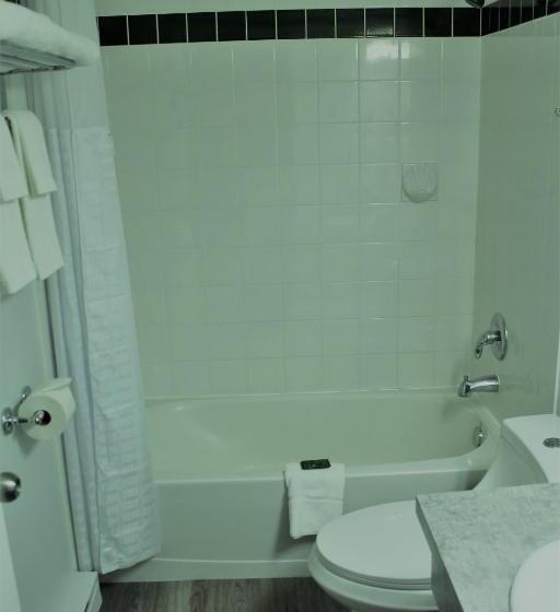 חדר סטנדרט עם מיטת קינג, Westridge Motor Inn