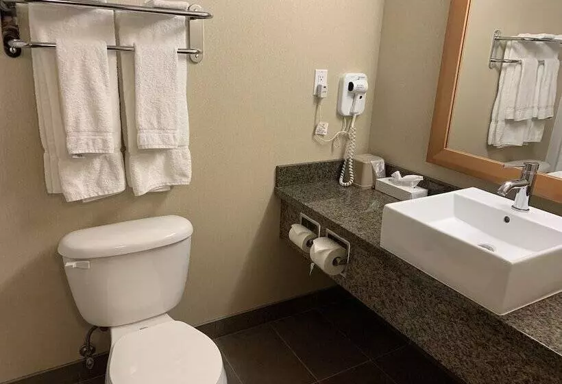 エクゼクティブスイート, Woodlands Inn & Suites