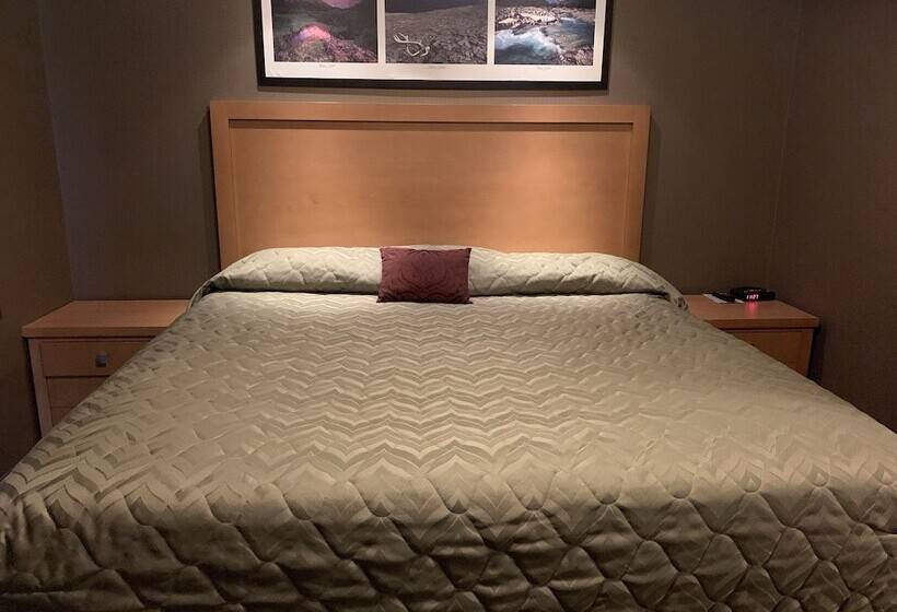 جناح إدارى, Woodlands Inn & Suites