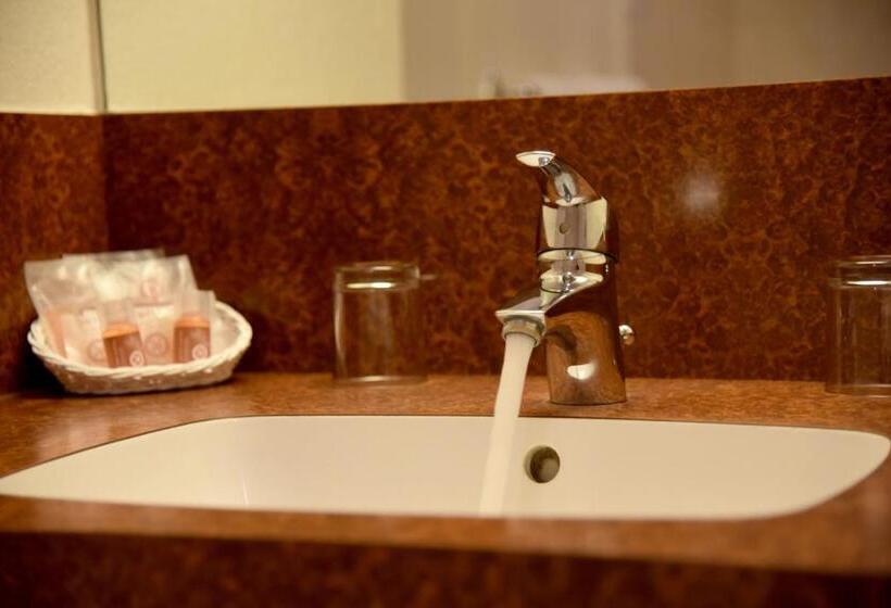 اتاق استاندارد, The Originals City, Hôtel Chantecler, Le Mans