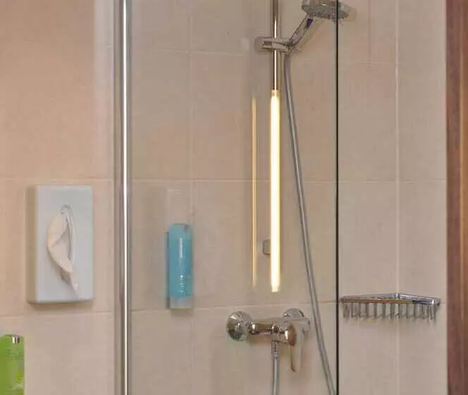 Quarto Estandar Individual, Bacchus