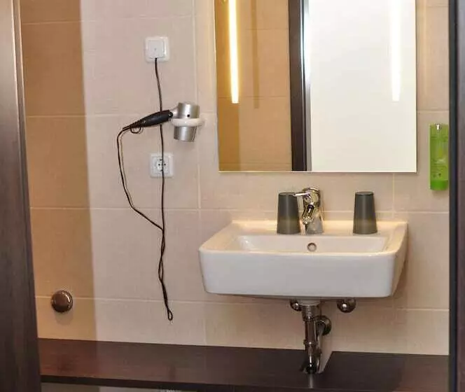Quarto Estandar Individual, Bacchus