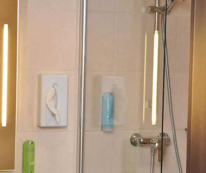 Quarto Estandar Individual, Bacchus