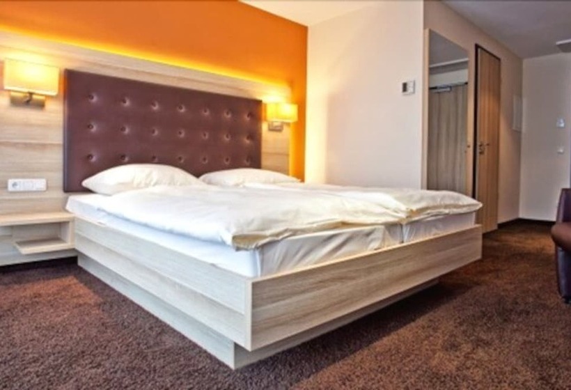 Номер Стандарт Индивидуальный, Bacchus