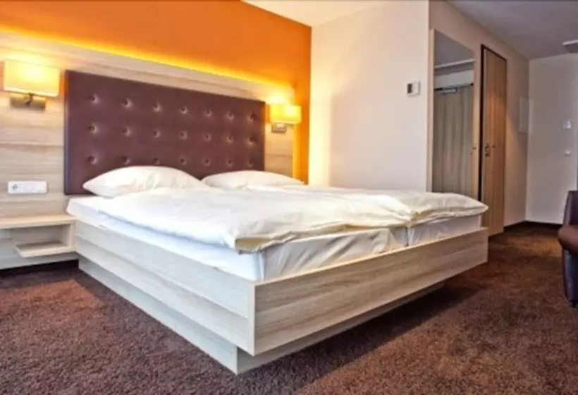 Quarto Estandar Individual, Bacchus