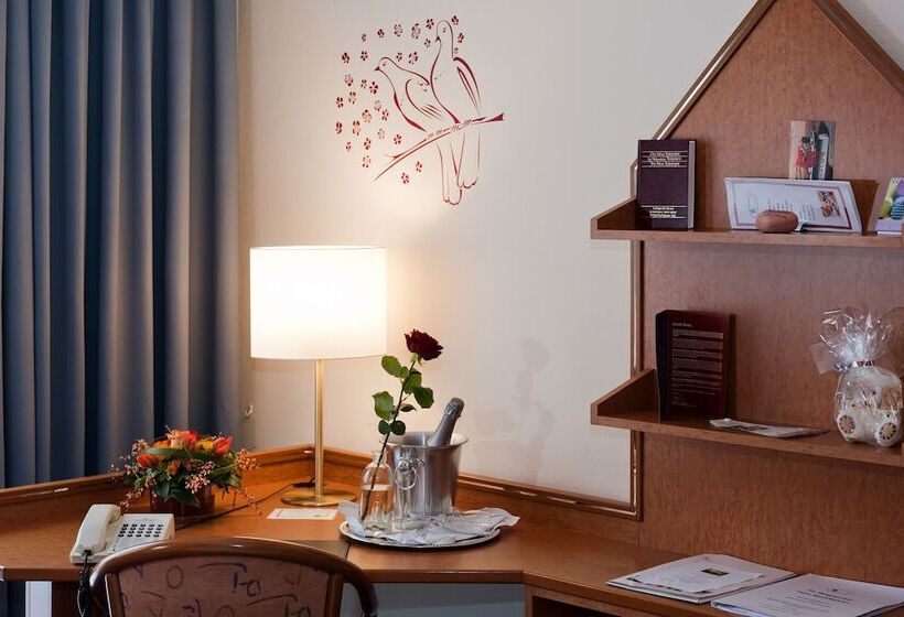 수피리어 싱글 룸, Residenz Limburgerhof