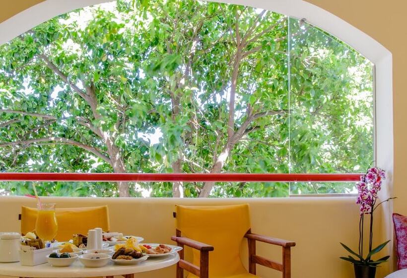 غرفة قياسية, Alkyon Resort Hotel & Spa