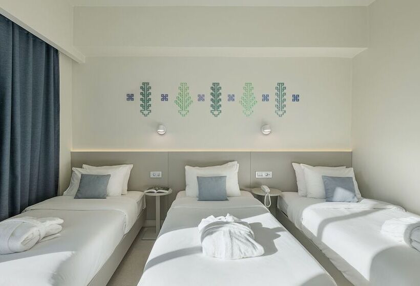 스탠다드 트리플 룸, Arkadi