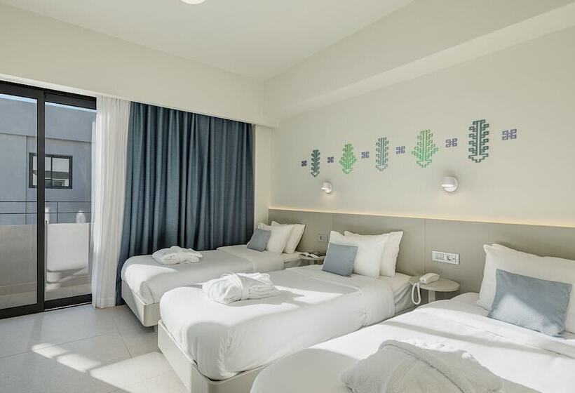 스탠다드 트리플 룸, Arkadi