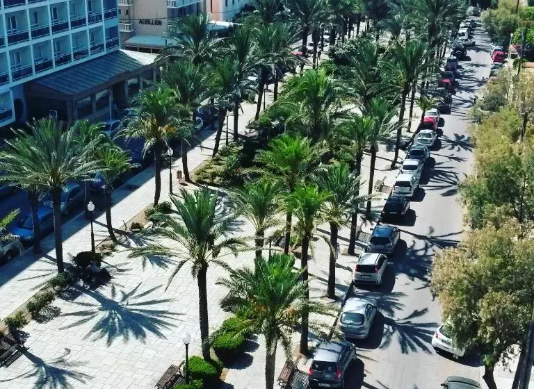 اتاق سوپریور با چشم‌انداز شهر, Cactus