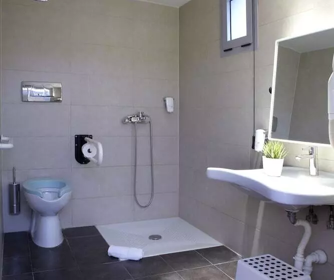 اتاق استاندارد برای معلولان, Domotel Olympia