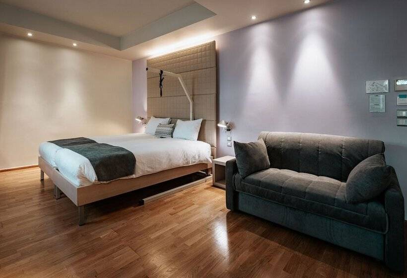 غرفة قياسية لذوى الاحتياجات الخاصة, Domotel Olympia