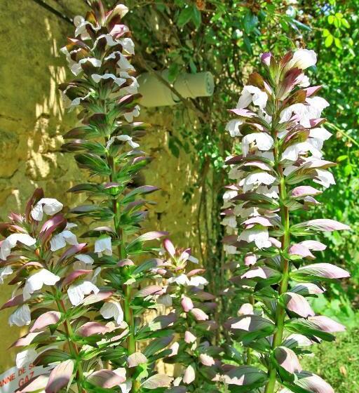 חדר יוקרתי, La Maison Des Peyrat