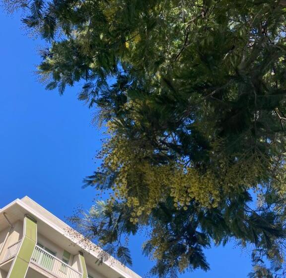 اتاق استاندارد, Ghironi