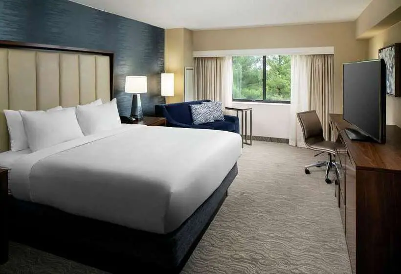 キングサイズベッドのスタンダードルーム, Hampton Inn Weslaco