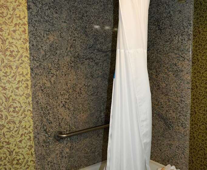 スタンダードルーム, Hampton Inn Weslaco