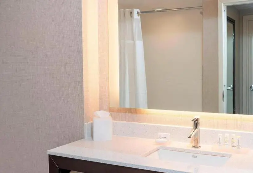 キングサイズベッドのスイートルーム, Residence Inn By Marriott Lafayette