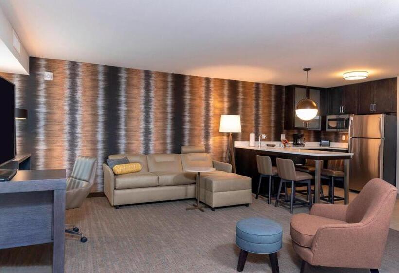 إستوديو قياسى سرير كينج, Residence Inn By Marriott Lafayette