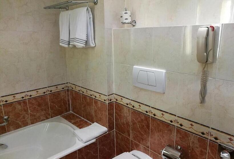 سوییت جونیور, Starhotels Michelangelo Rome