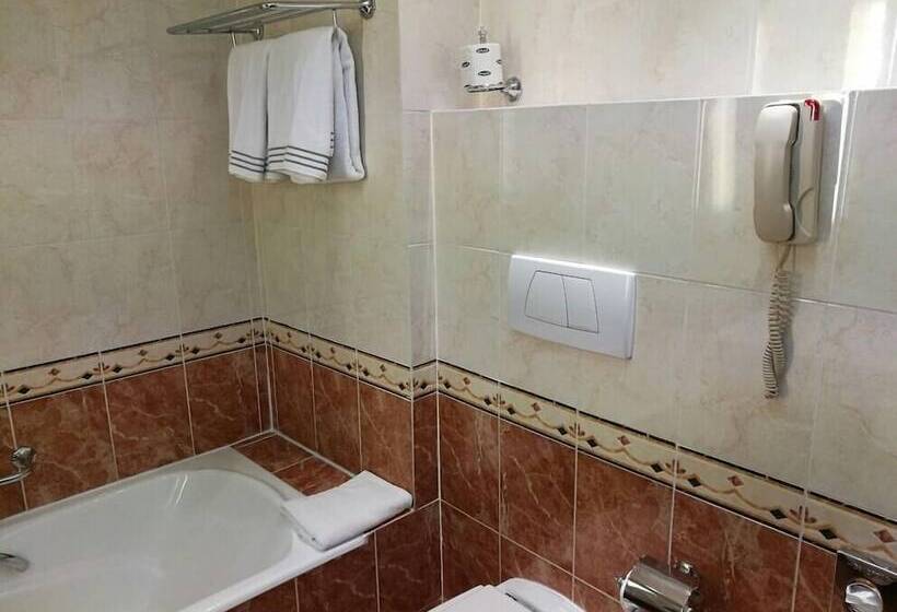 سوییت جونیور, Starhotels Michelangelo Rome