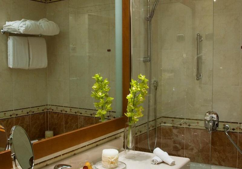 اتاق کلاسیک, Starhotels Michelangelo Rome