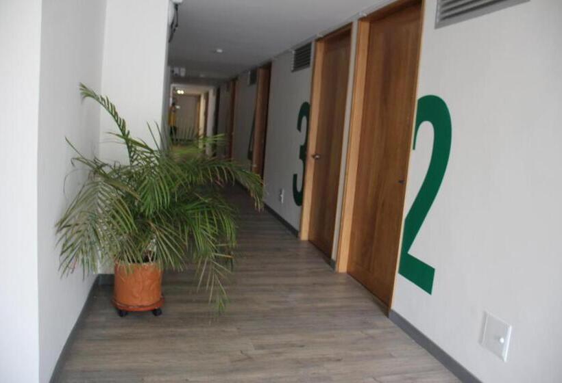 סוויטה משפחתית, Plaza El Santuario