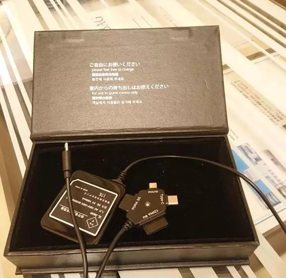 اتاق لوکس یک تخته, Jr Hotel Clement Tokushima