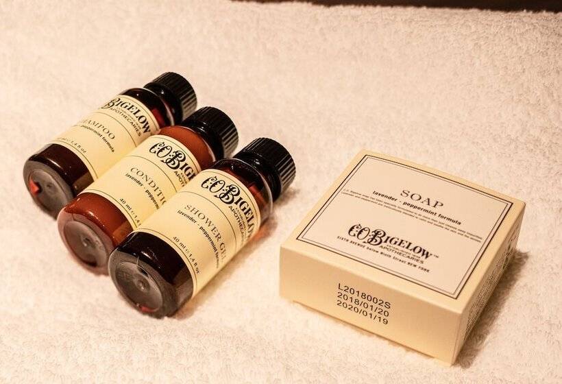 Номер Стандарт, The Basics Fukuoka