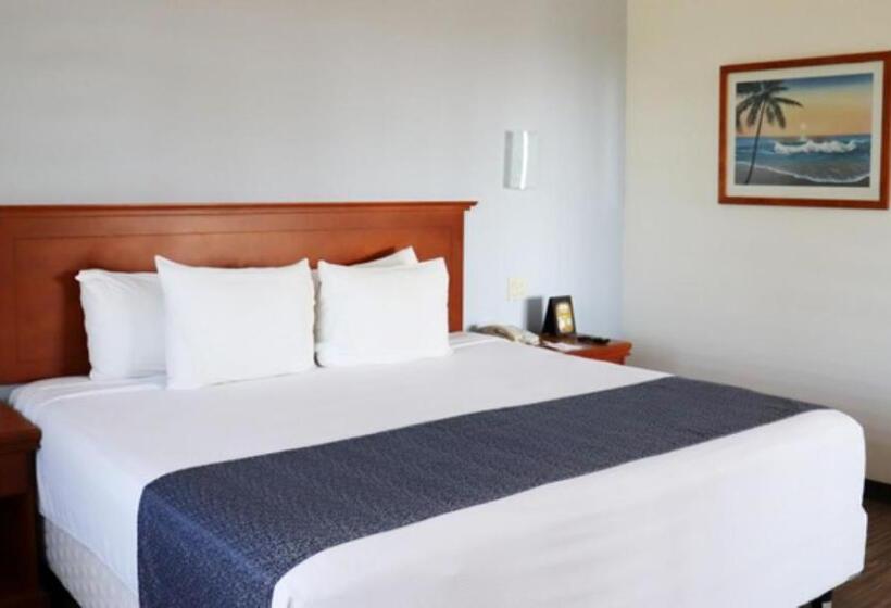 キングサイズベッドのスタンダードルーム, Araiza Palmira Hotel Y Centro De Convenciones