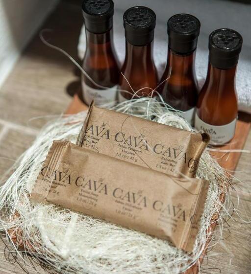 小型套房, Avandaro Golf & Spa Resort