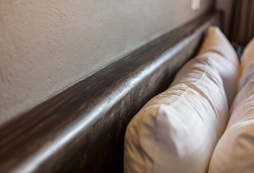 小型套房, Avandaro Golf & Spa Resort