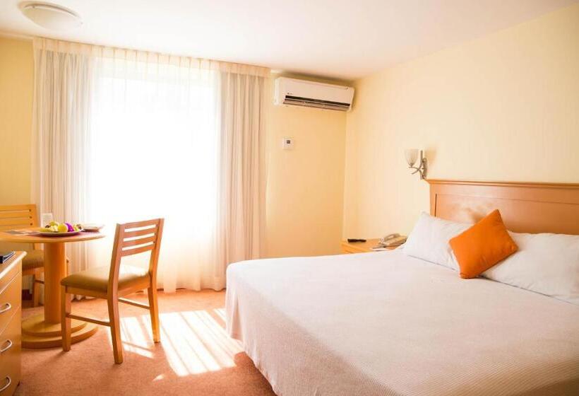 스탠다드 룸 킹사이즈 침대, Araiza Palmira Hotel Y Centro De Convenciones